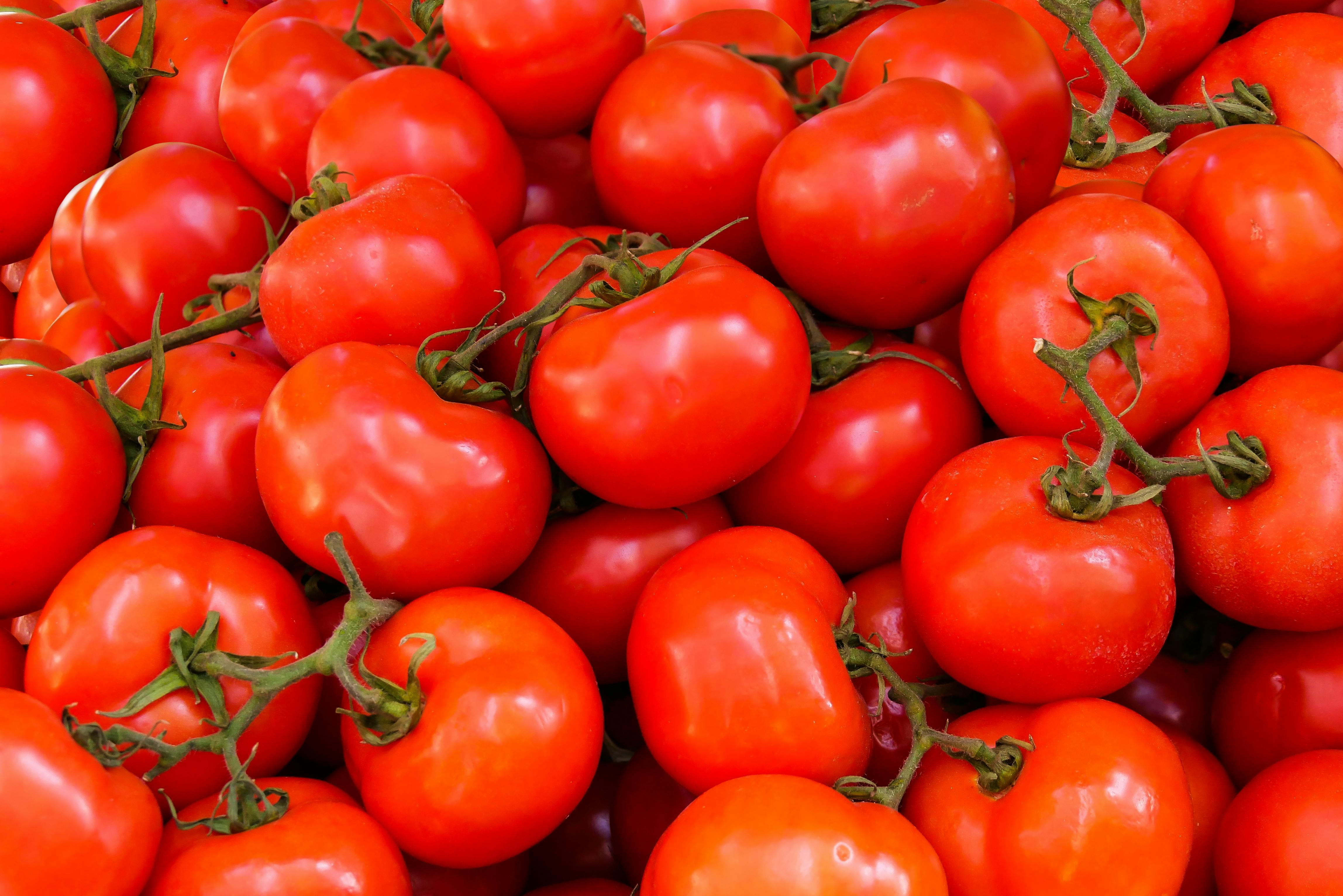 Fresh Tomatoes 1KG