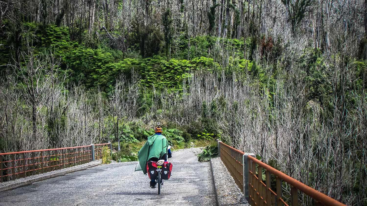 Parque Nacional Pumalín Douglas Tompkins
