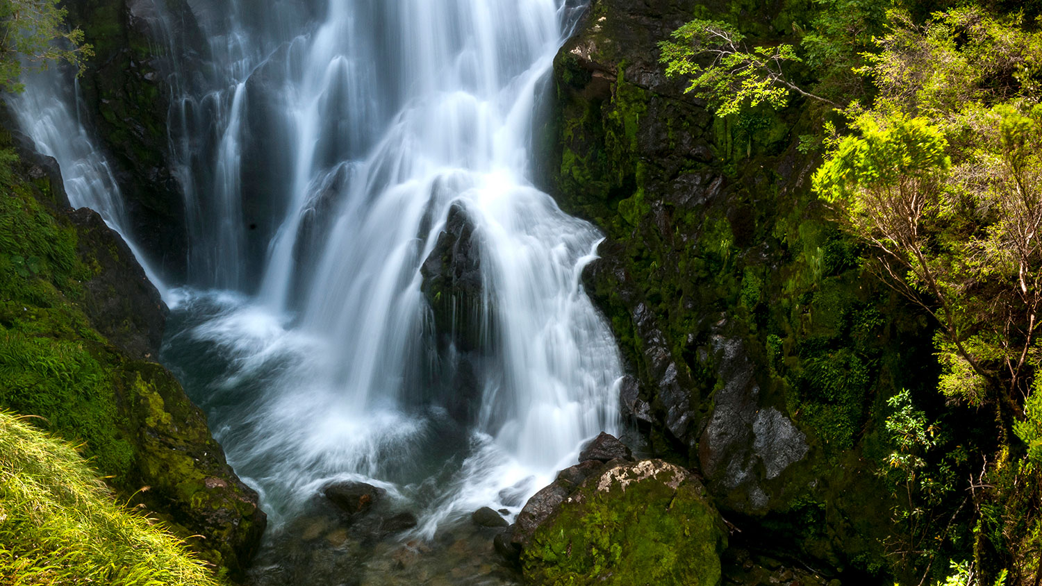 Parque Nacional Pumalín Douglas Tompkins