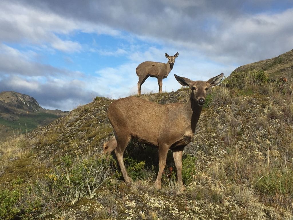 Parque Nacional Patagonia