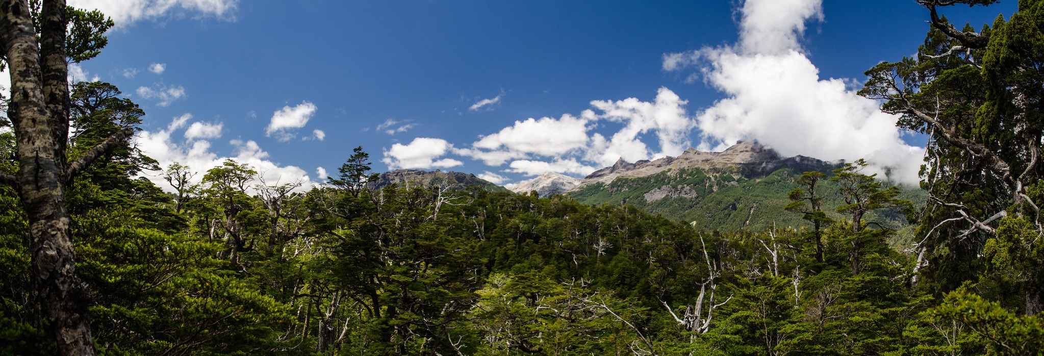 Parque Nacional Hornopirén