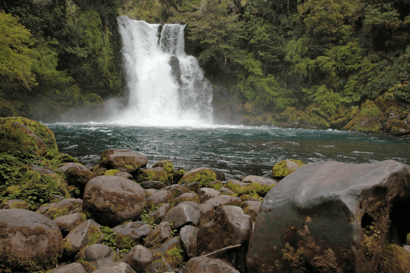 Parque Nacional Hornopirén