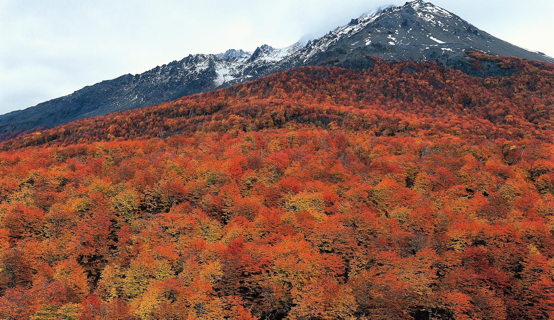 Parque Nacional Cerro Castillo