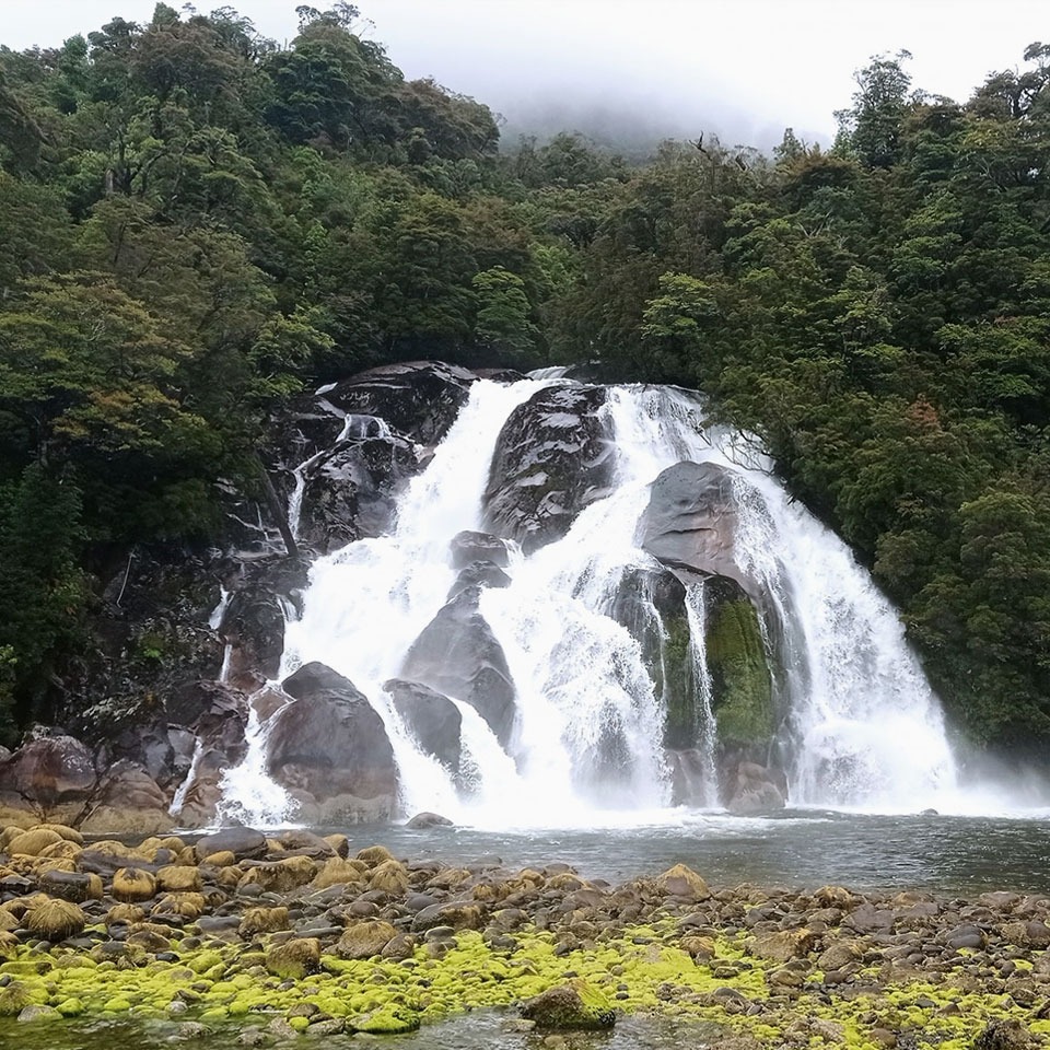 Parque Nacional Isla Magdalena
