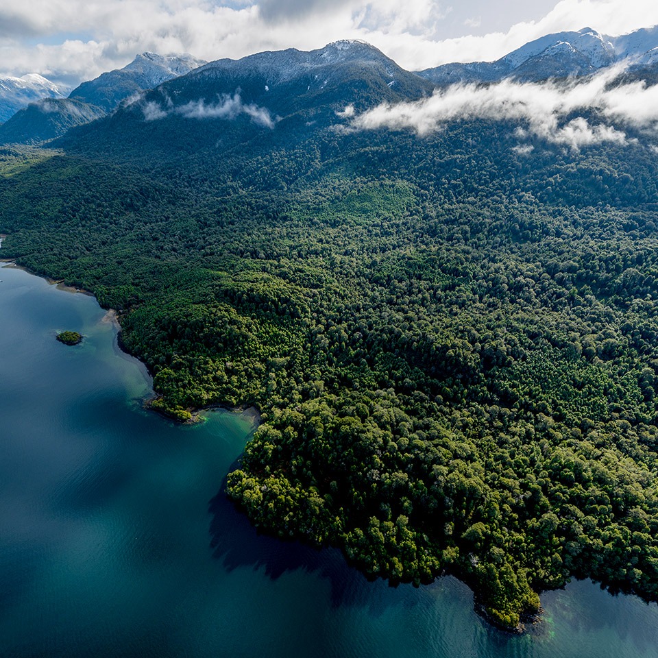 Parque Nacional Isla Magdalena