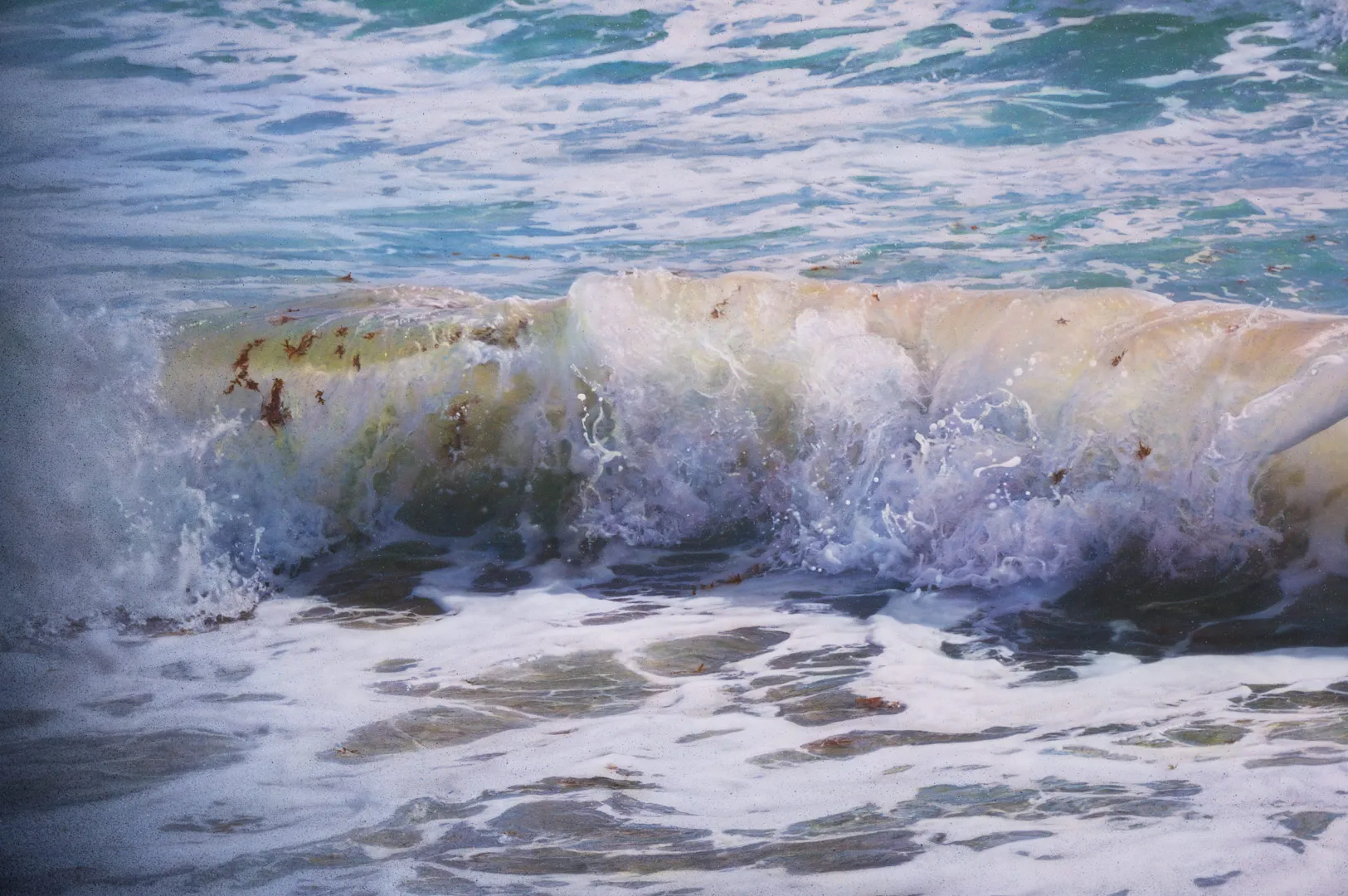 Echoes of the Ocean n°23