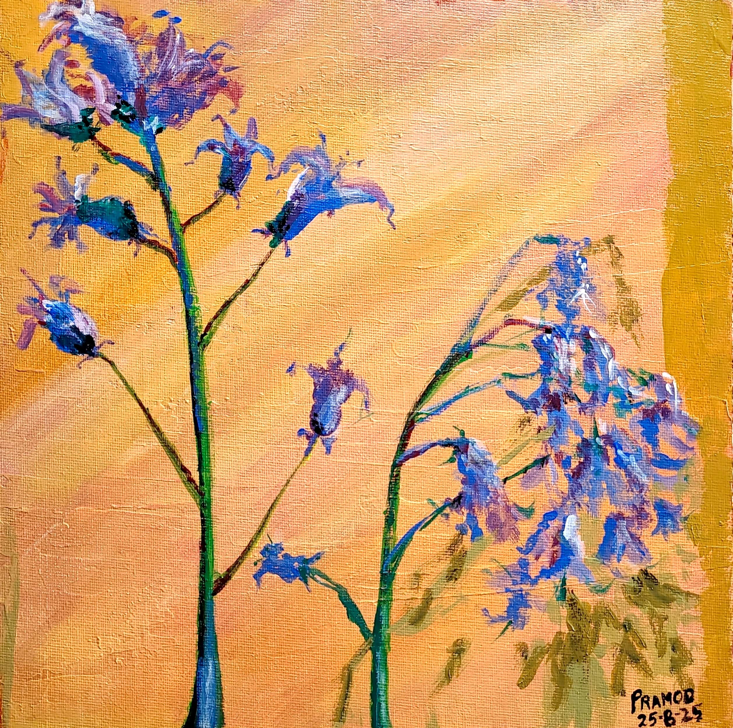 The Mysterious Bluebells