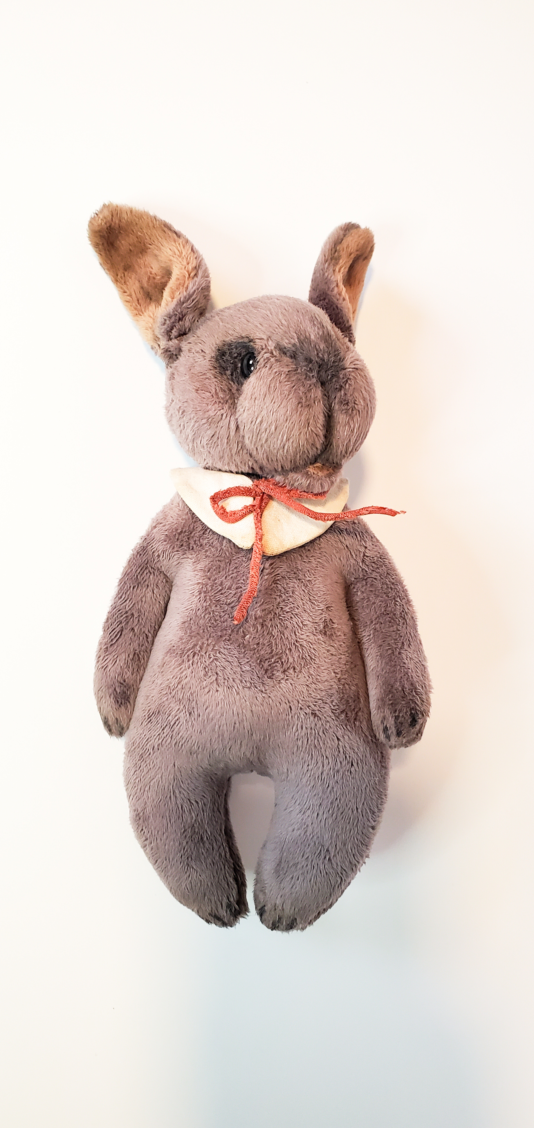 Starla Little Rabbit