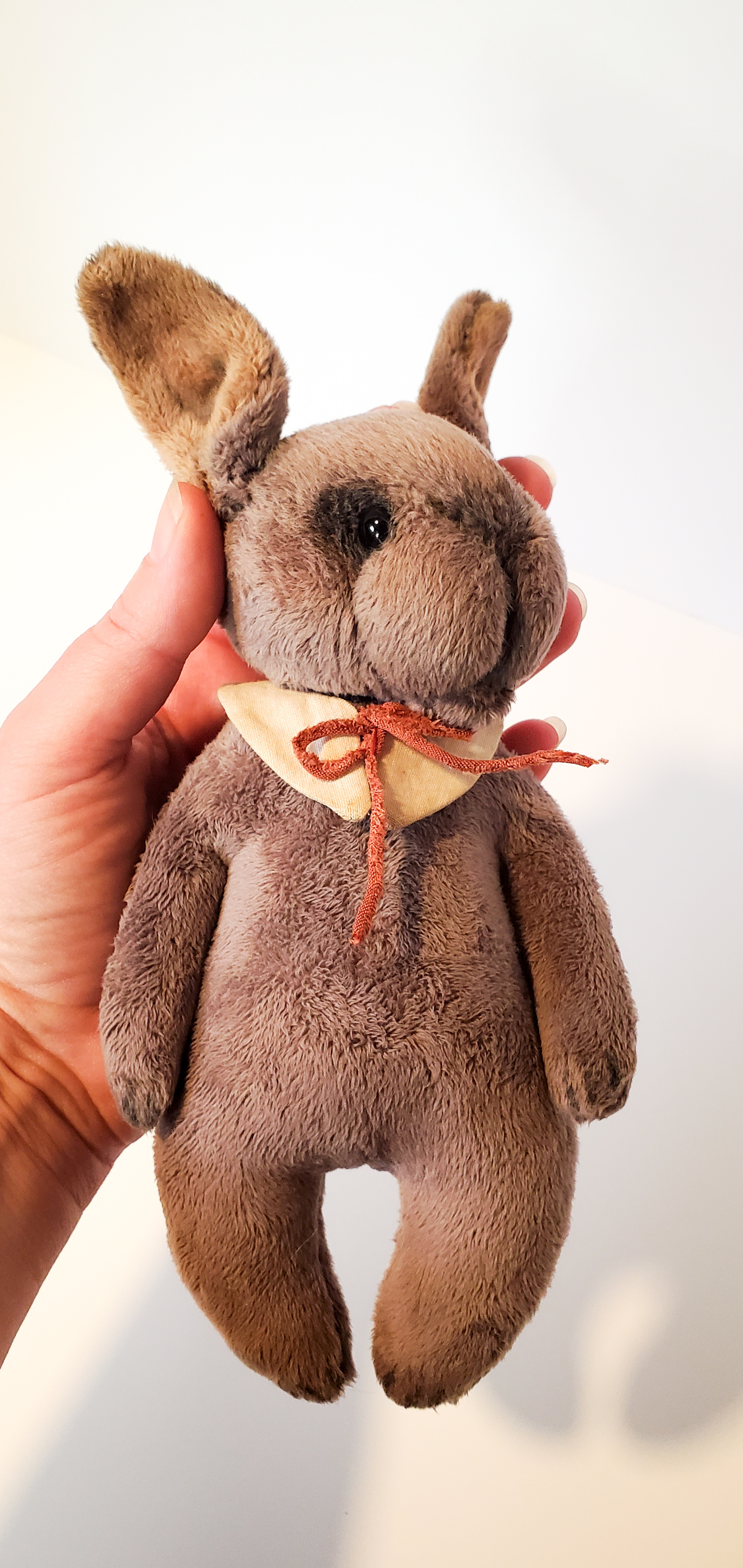 Starla Little Rabbit