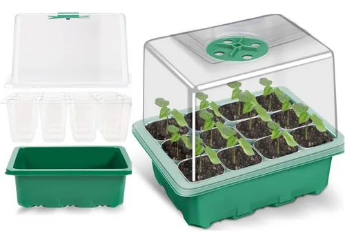 Domo de germinación