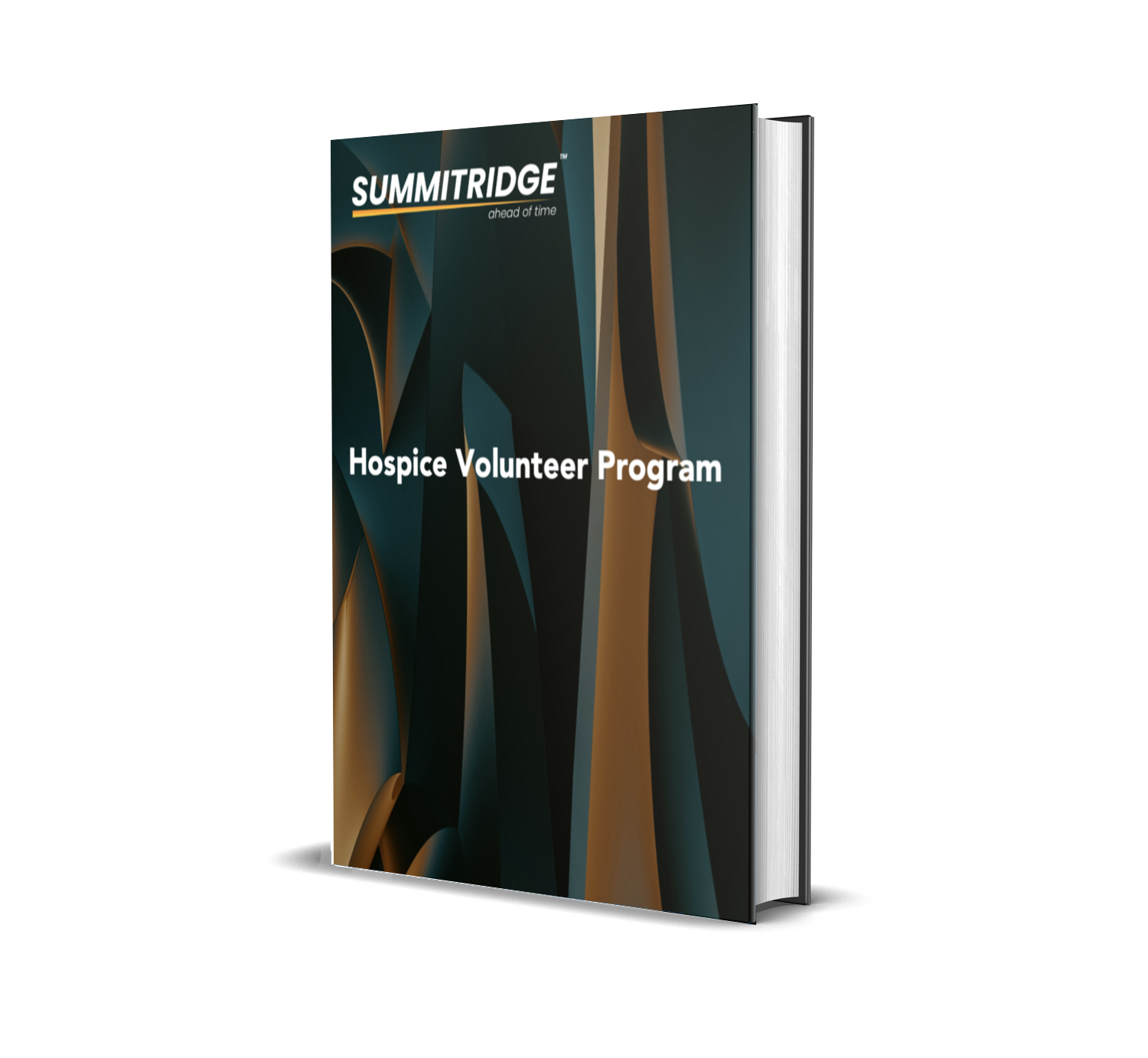 Hospice Volunteer Program 