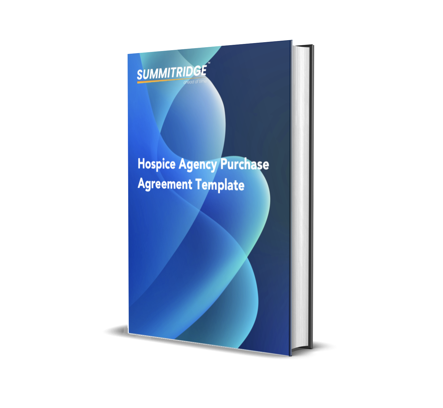 Hospice Purchase Agreement Template