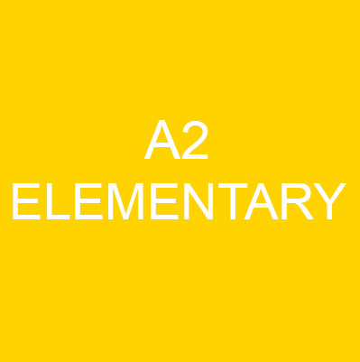 8-WEEK A1-A2 Level BEGINNER French INDIVIDUAL 1-ON-1 Lesson Package