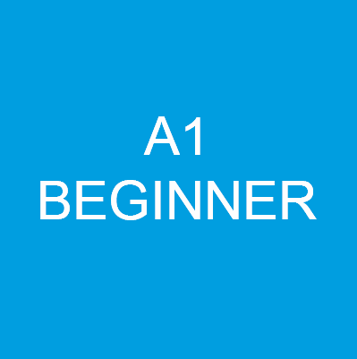 Single A1-A2 Level BEGINNER French PRIVATE Lesson