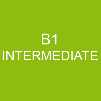 SEAN'S WEDNESDAY CLASSES SPECIAL: 8-WEEK B1 Level INTERMEDIATE French INDIVIDUAL 1-ON-1 LESSONS Package