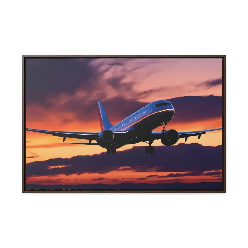 Plane Wall Art