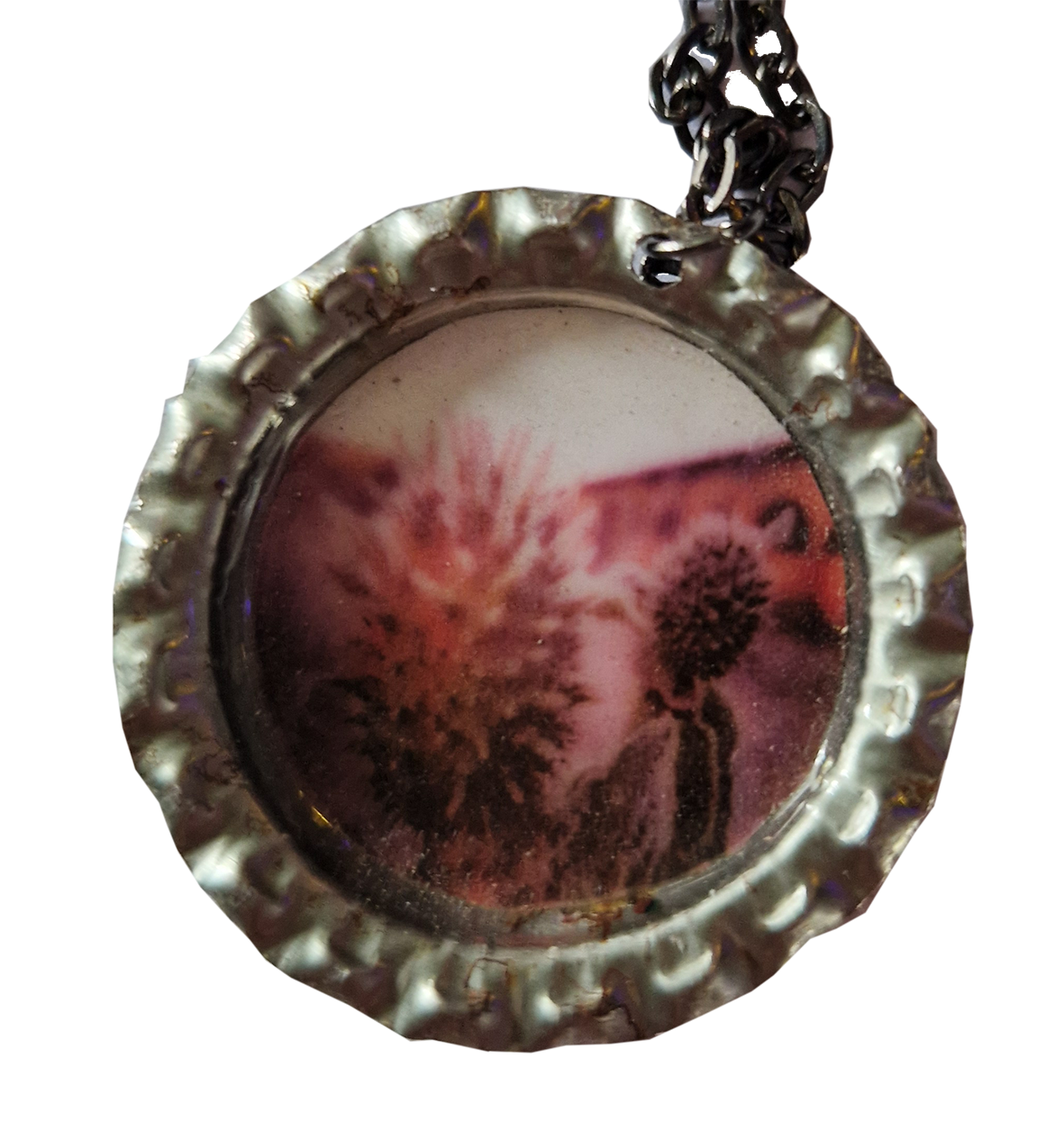 Chardons glacés - Pchiii