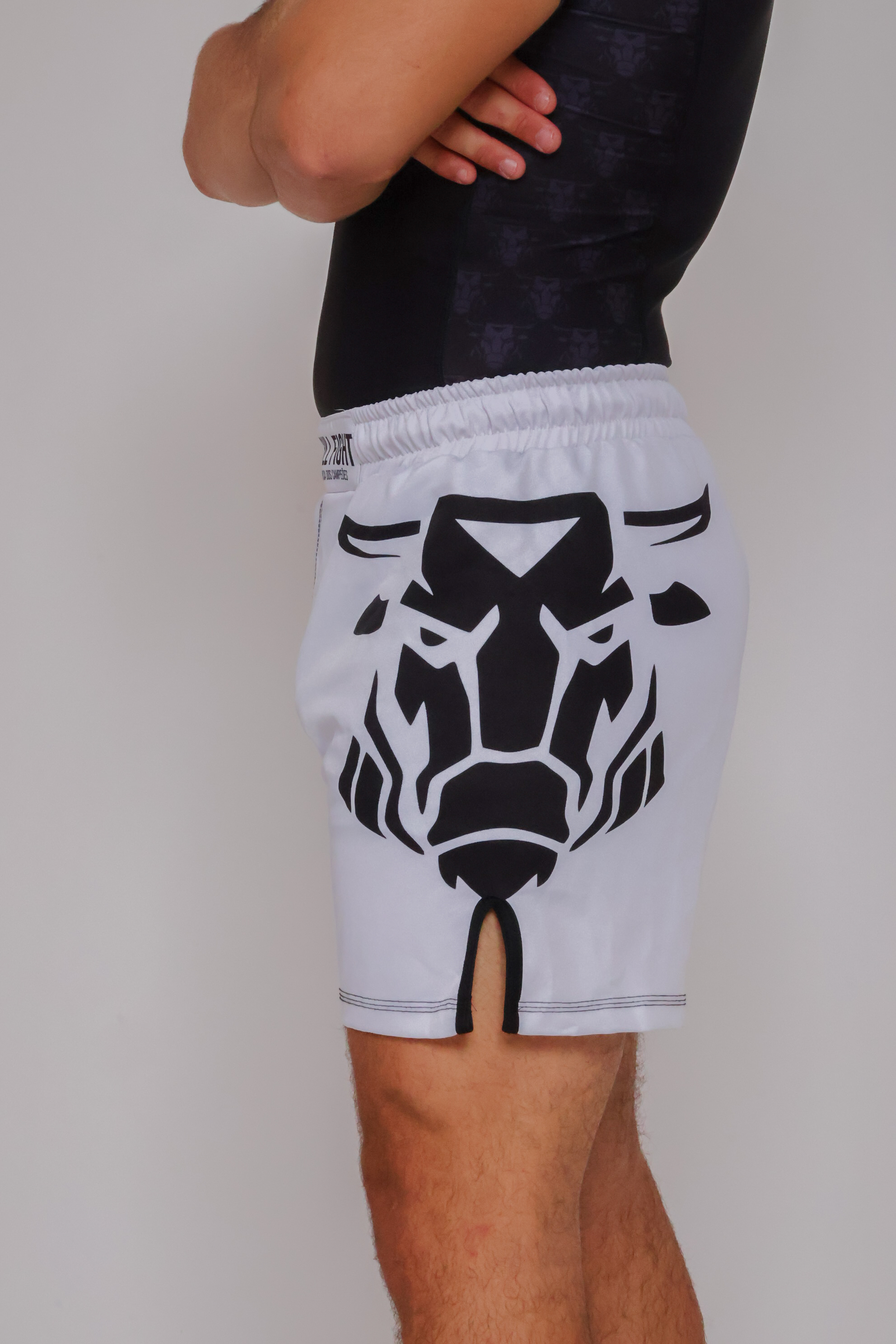 Shorts No-Gi Bull Fight Adulto