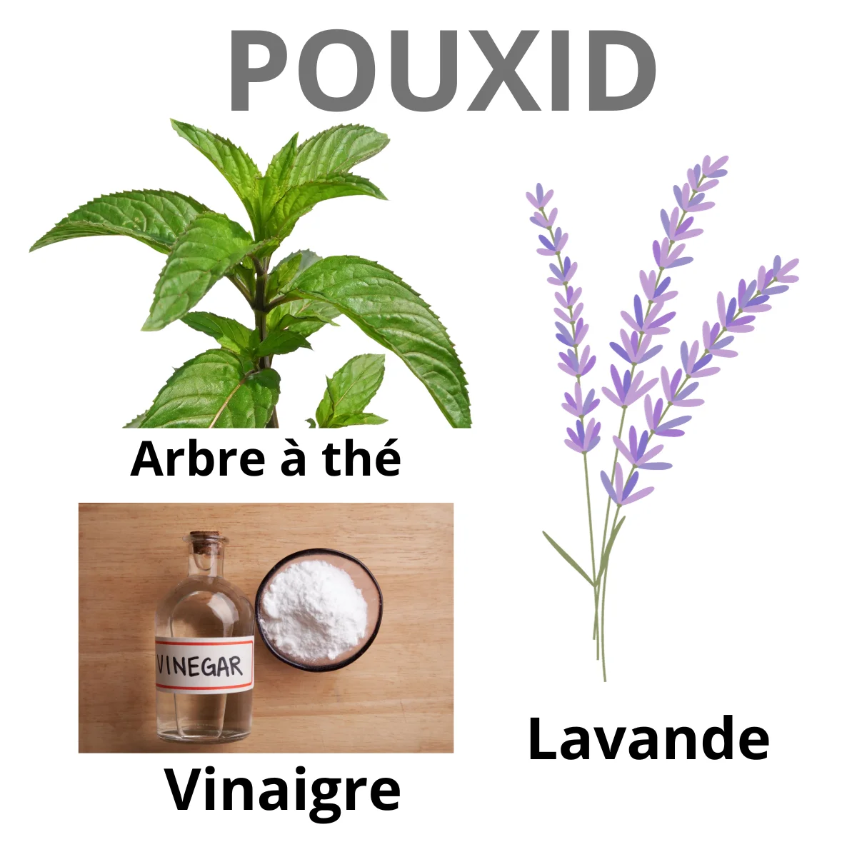 POUXID Lotion anti poux