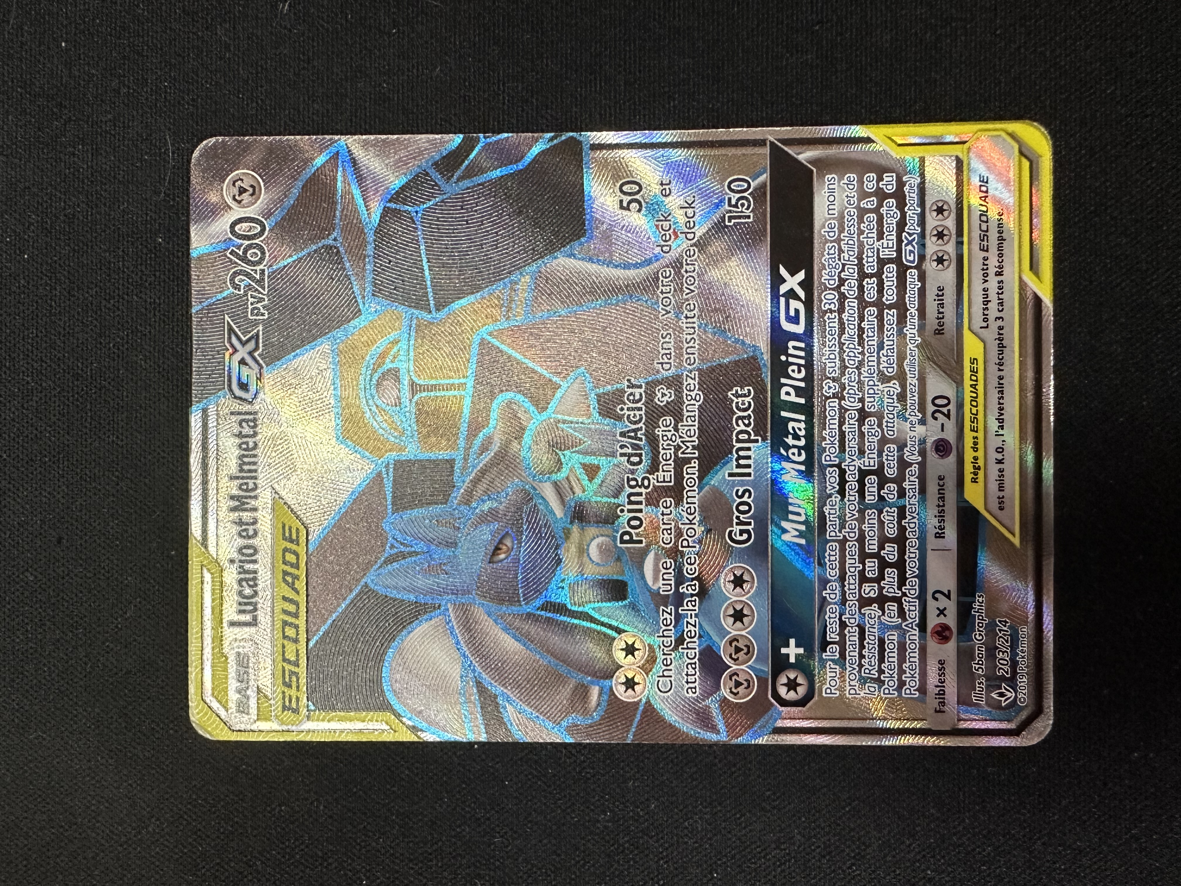 Lucario et Melmetal GX (203/214)