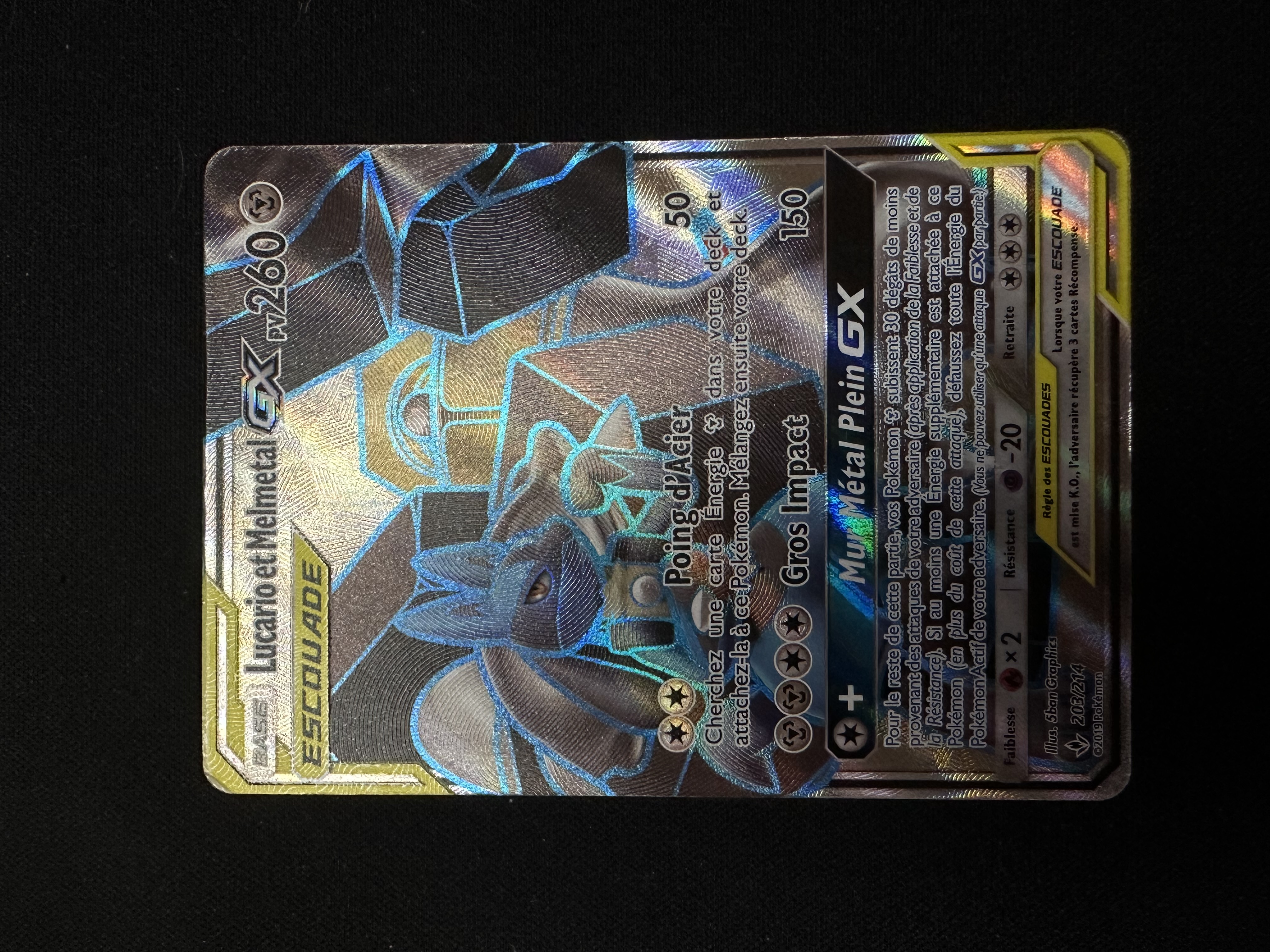 Lucario et Melmetal GX (203/214)