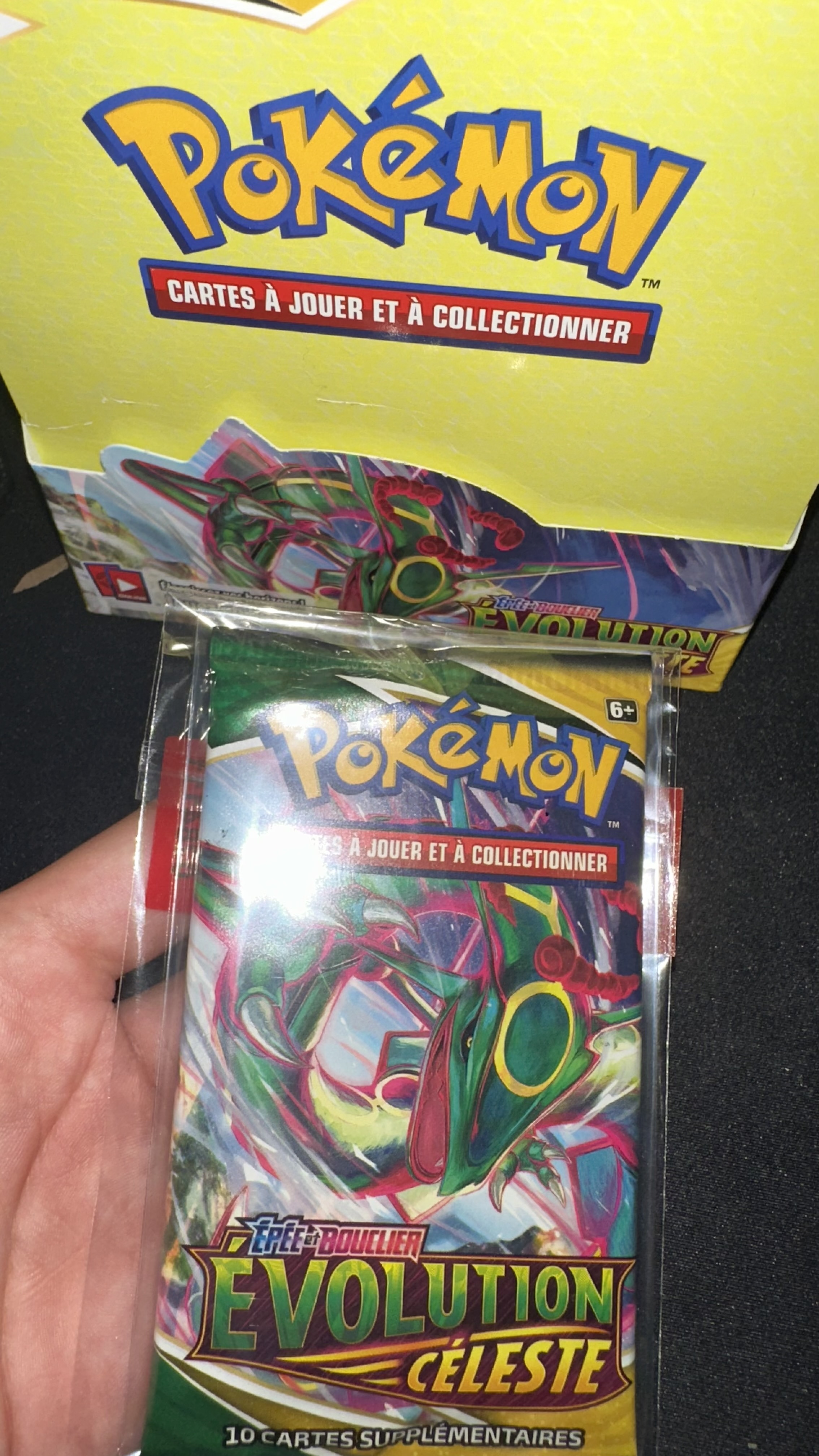 Booster Évolution céleste illustration Rayquaza