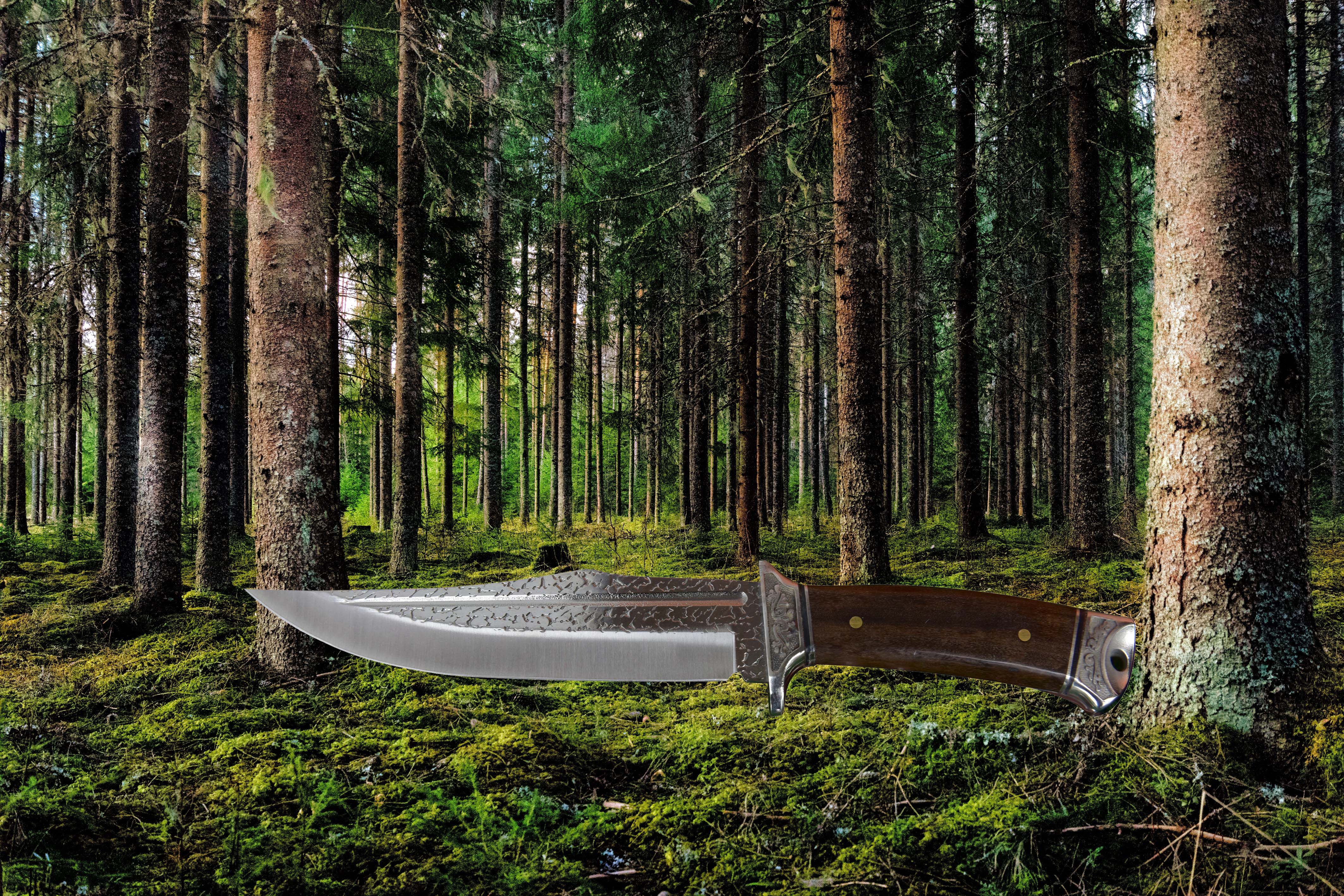 104 Bowie Knife & Forest