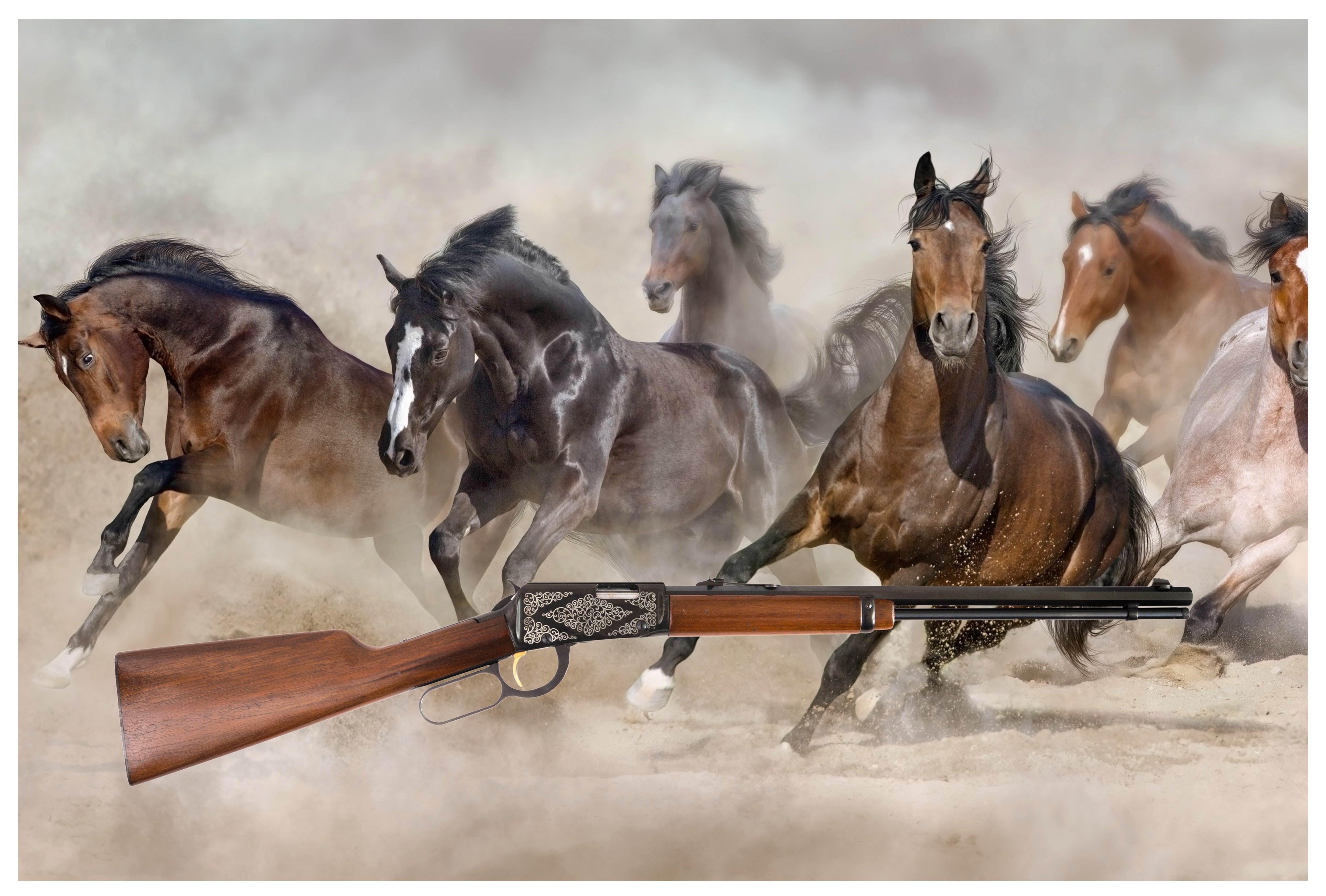 111 Winchester 1873 and Wild Horses