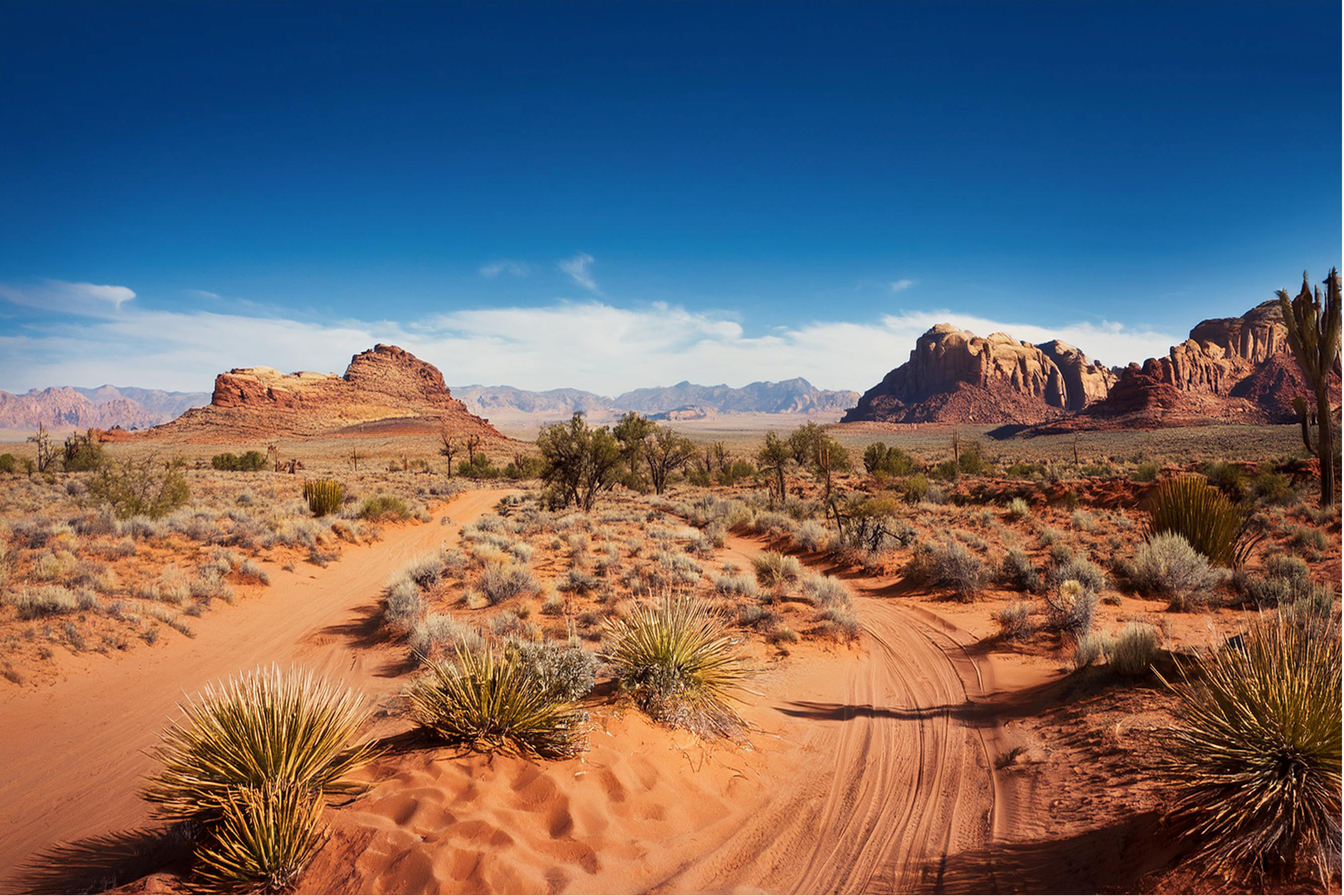 B106 Scenic Desert Landscape Photograph