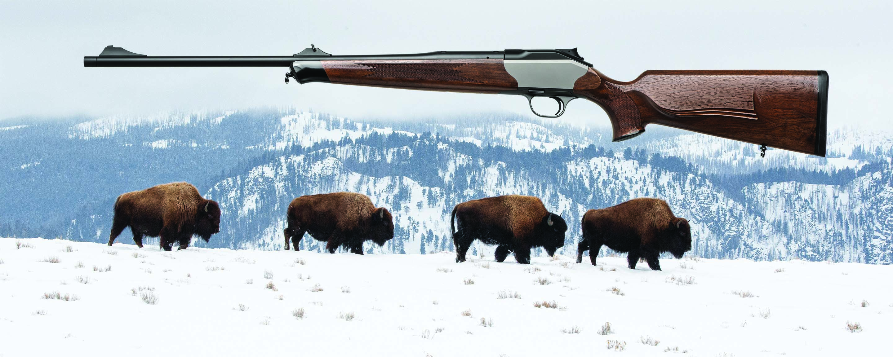 139 Hunting Rifle and Bison Herd on the Horizon