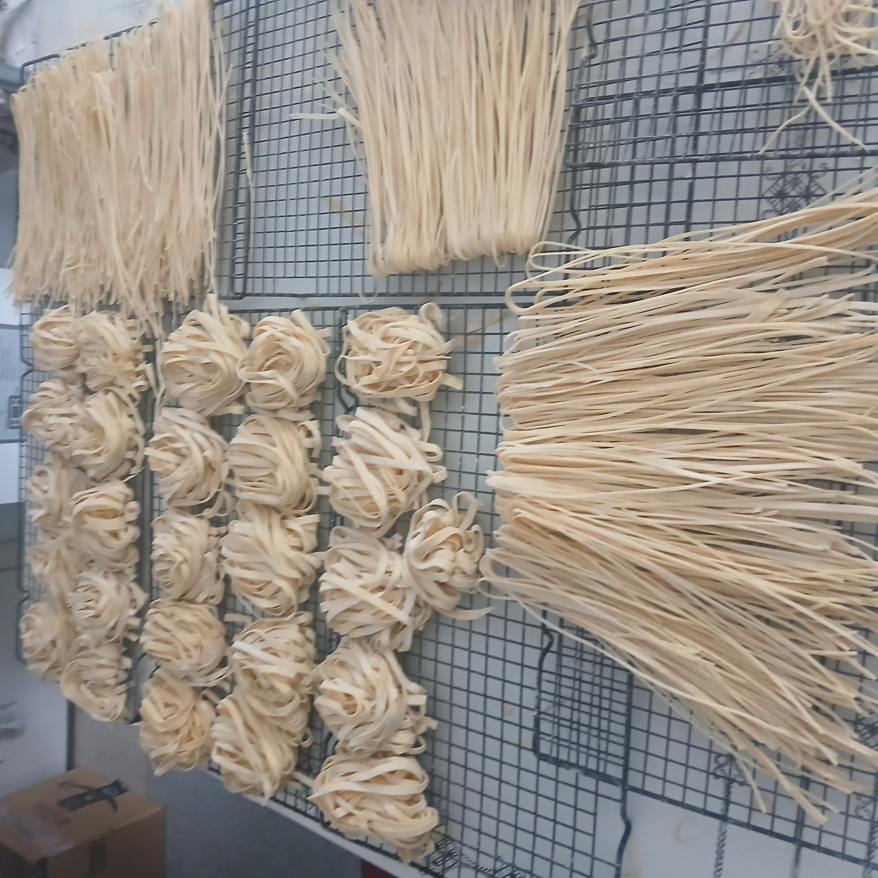 Sourdough Pasta with Superfood Colors