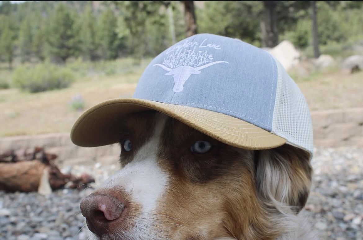Logo Hat