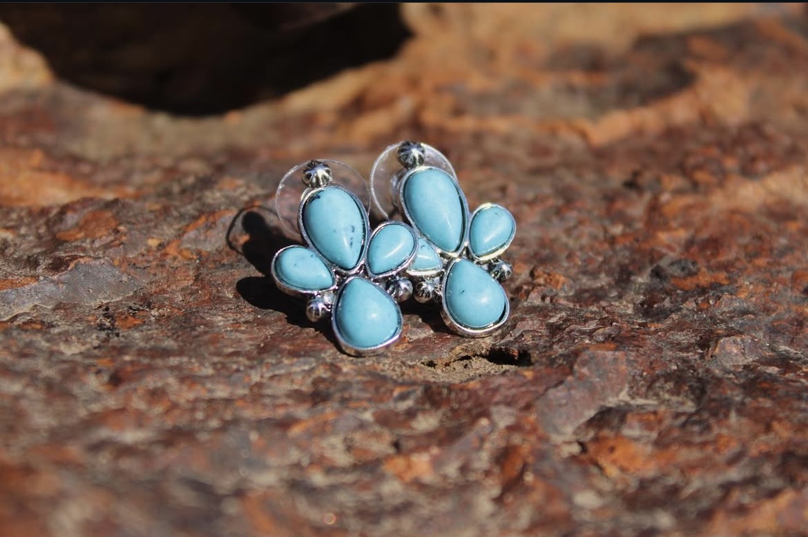 Stagecoach Earrings