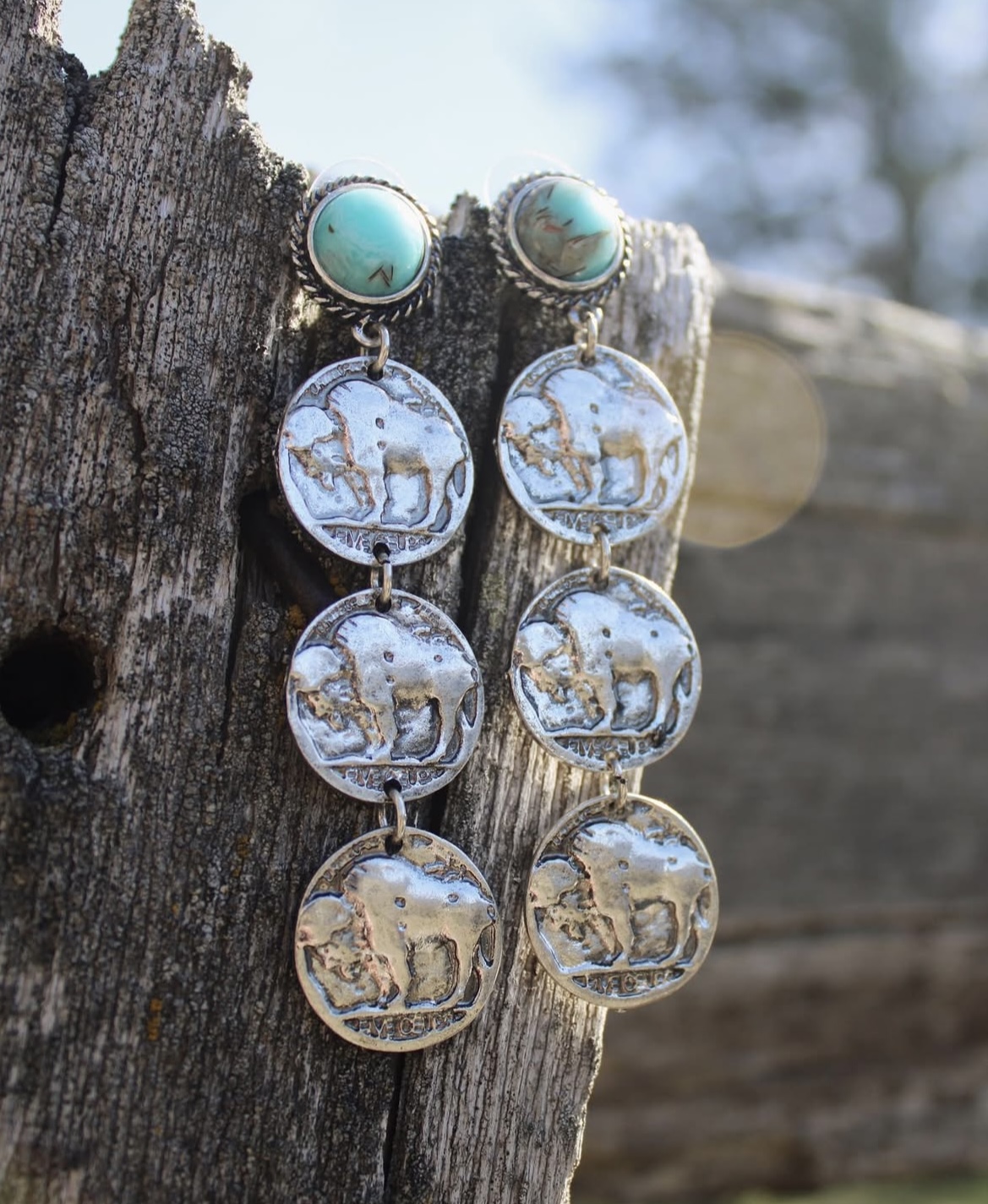 How the West was Won Earrings
