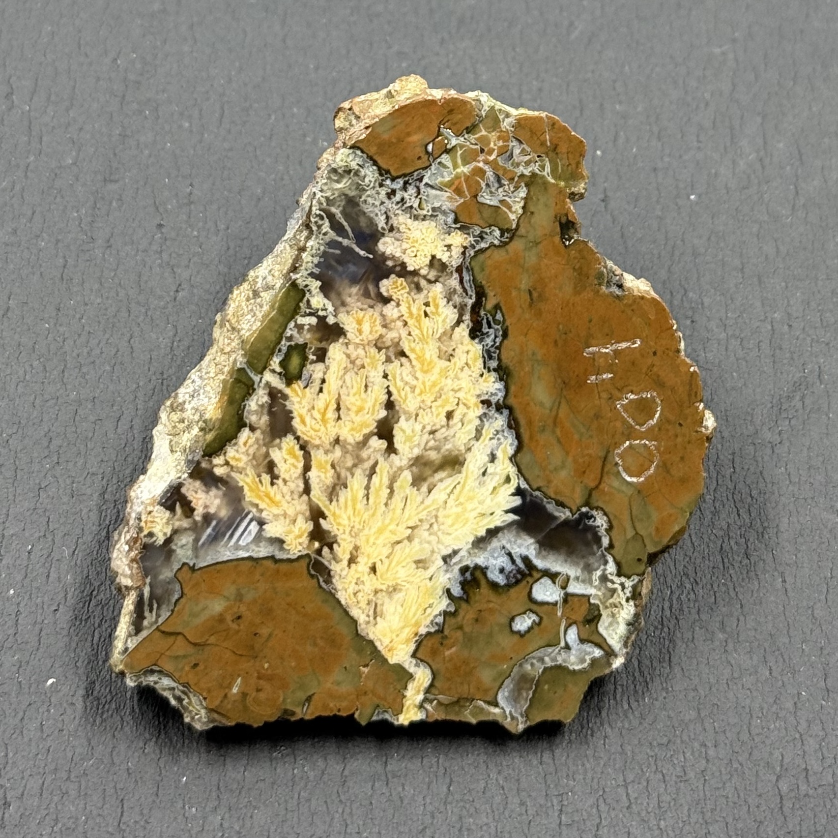 Priday Plume agate Slab OLD STOCK #PP013