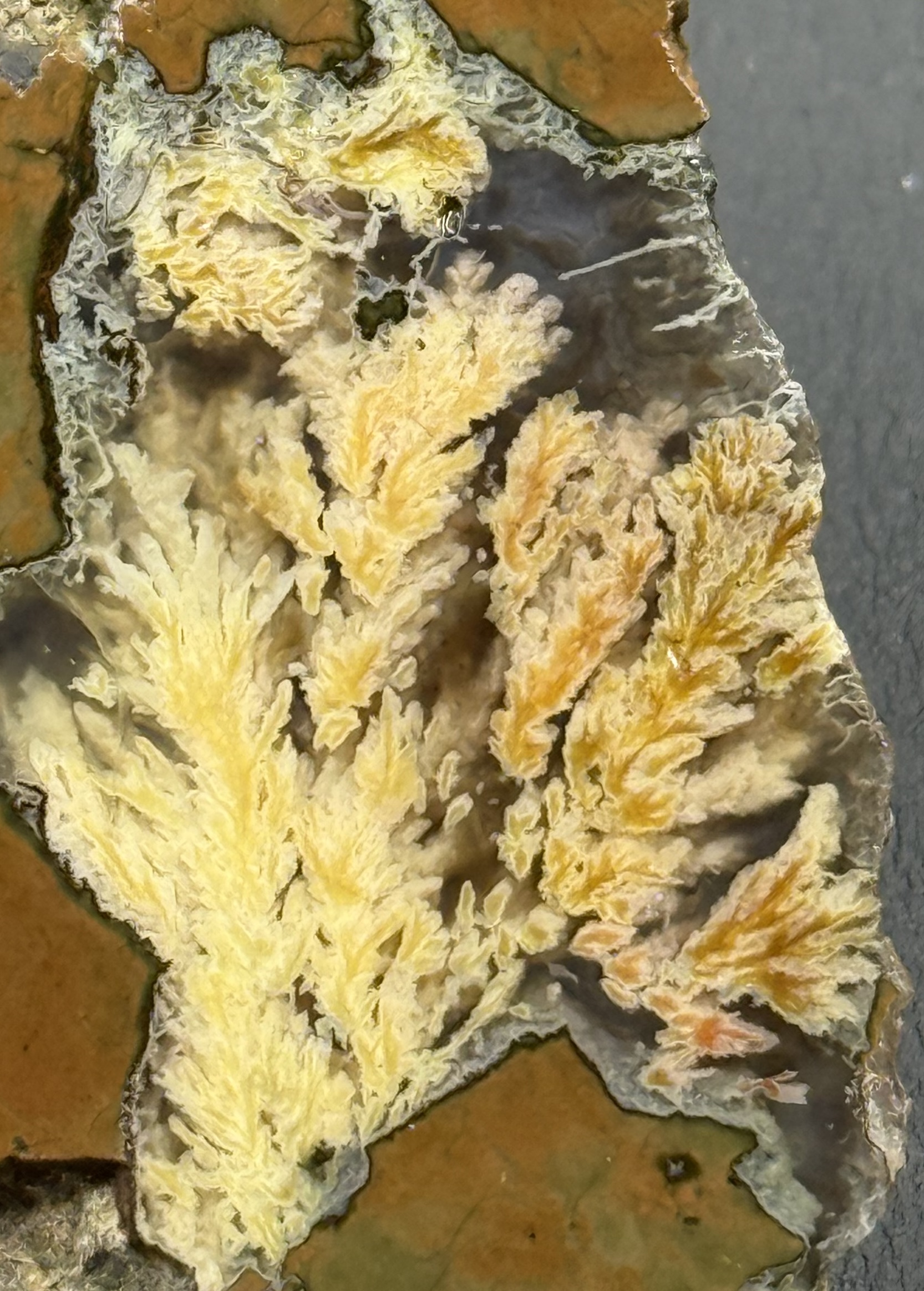 Priday Plume agate Slab OLD STOCK #PP013