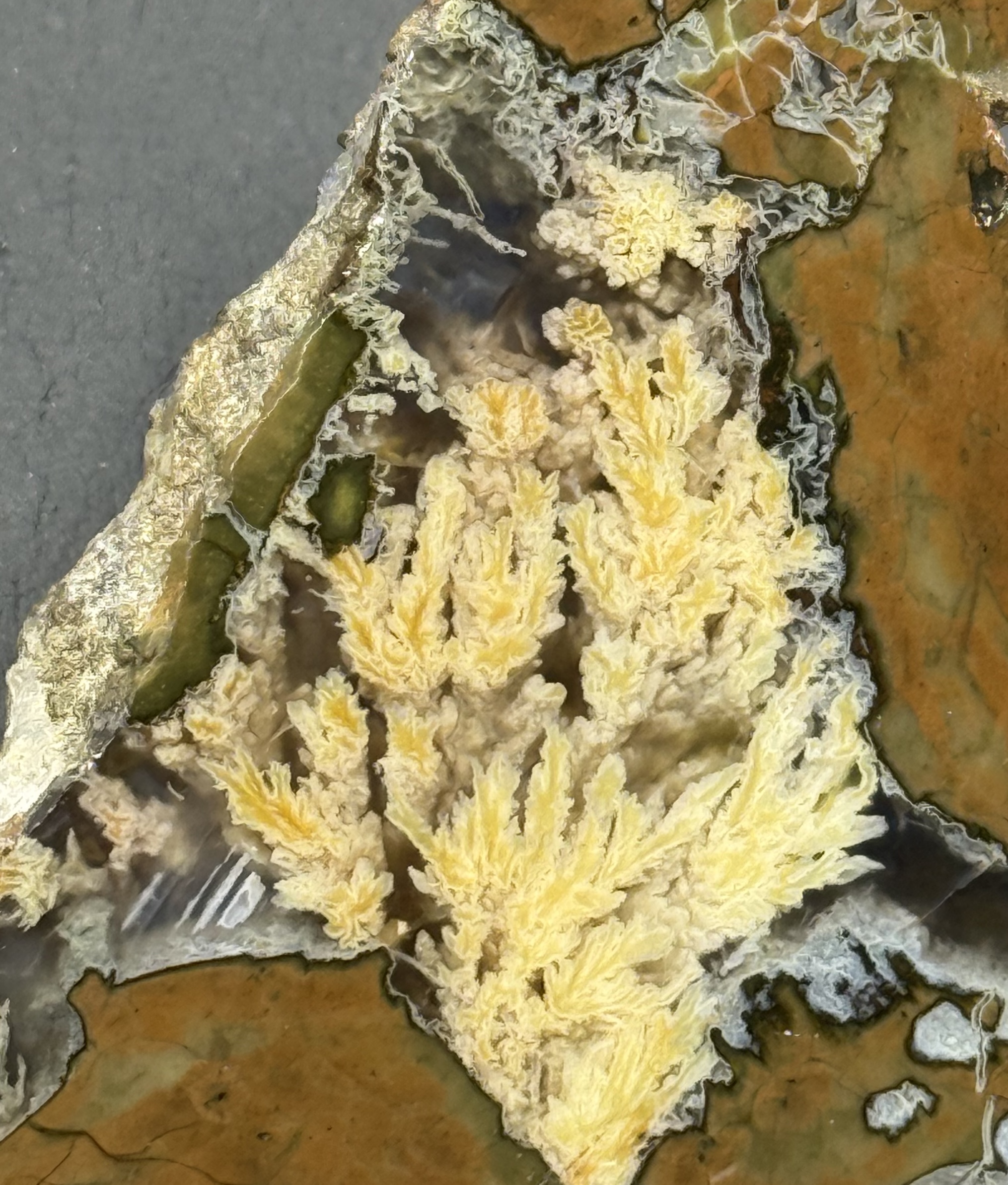 Priday Plume agate Slab OLD STOCK #PP013