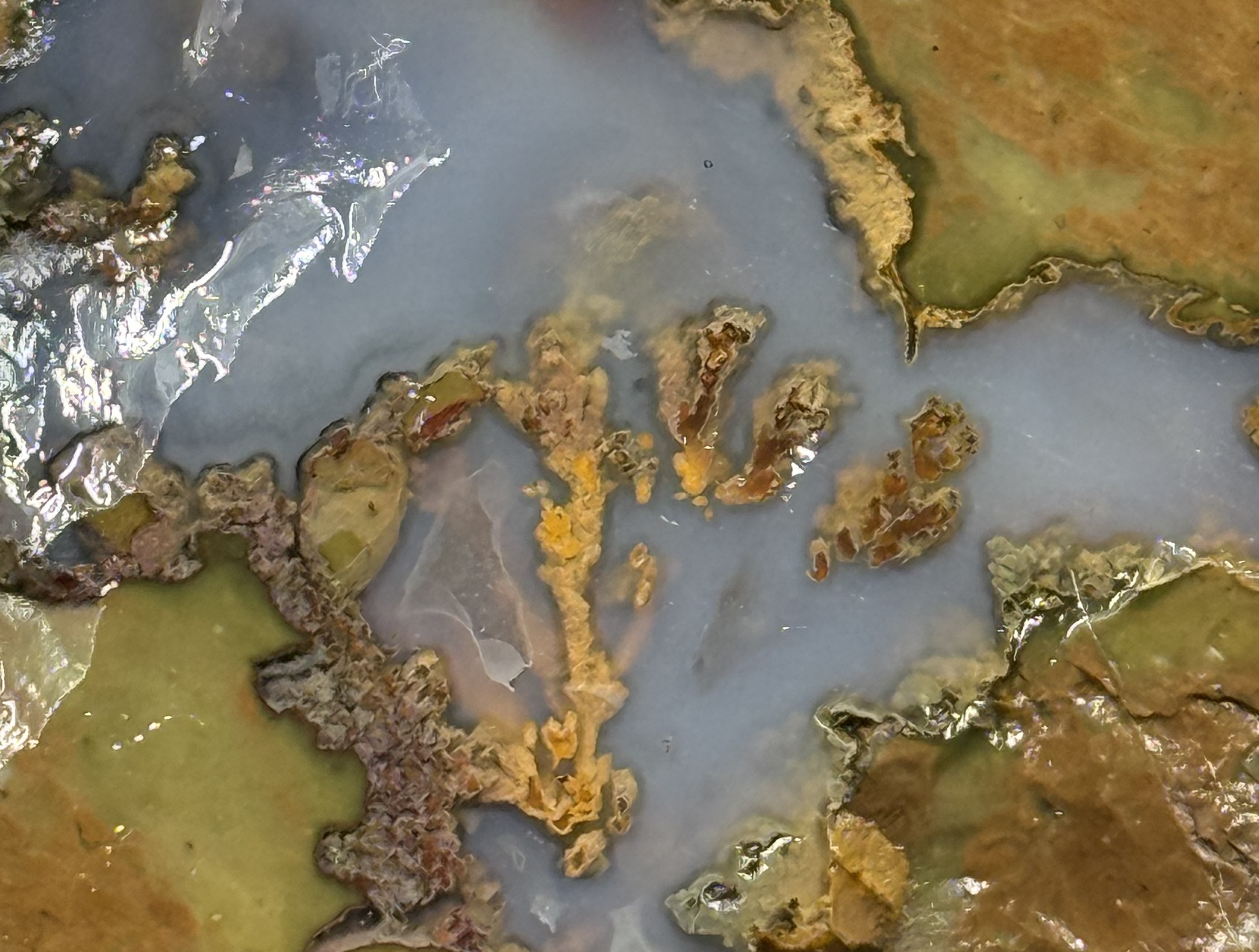 Priday Plume agate Slab OLD STOCK #PP014