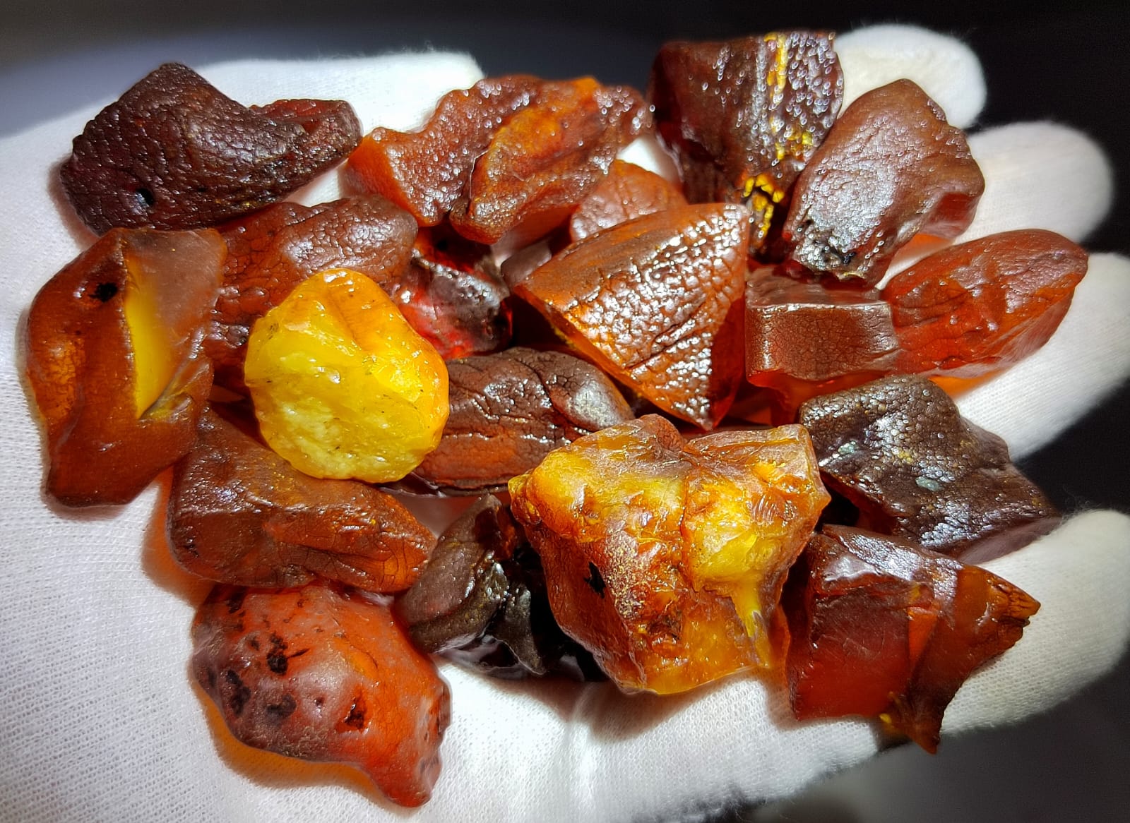 Baltic Amber