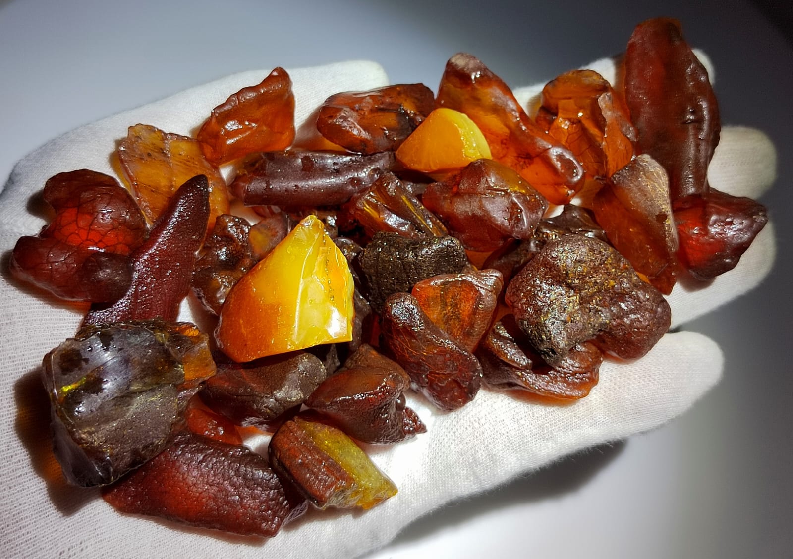 Baltic Amber