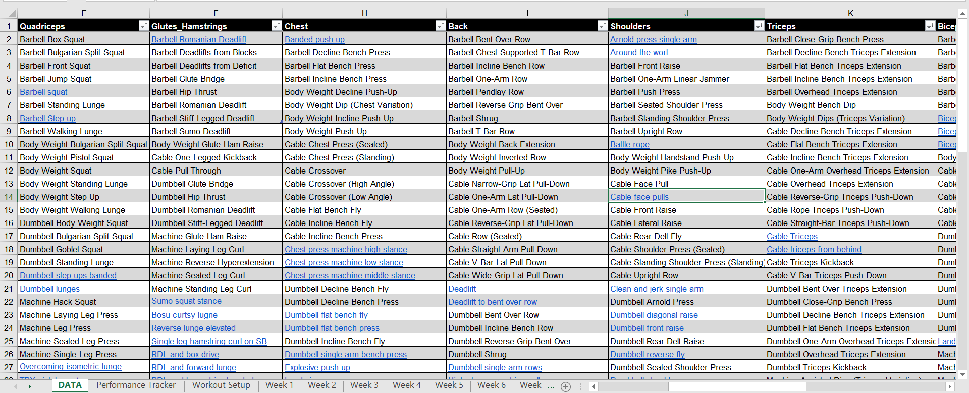 12 Weeks Gym planner and performance tracker 