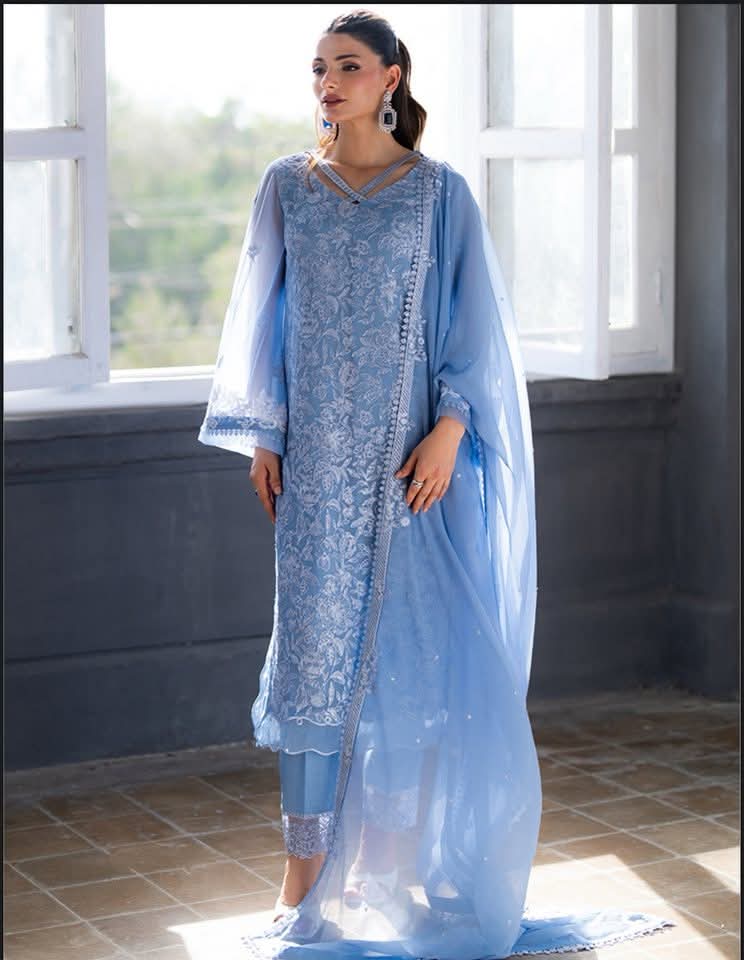 Elegant Blue Embroidered Dress