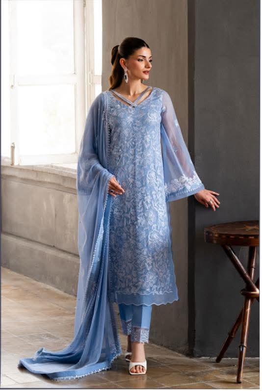 Elegant Blue Embroidered Dress