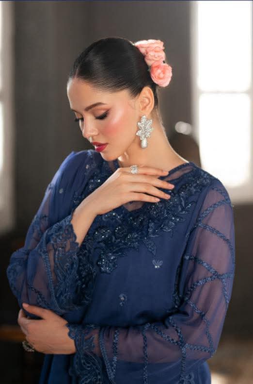 Elegant Blue Embroidered Dress