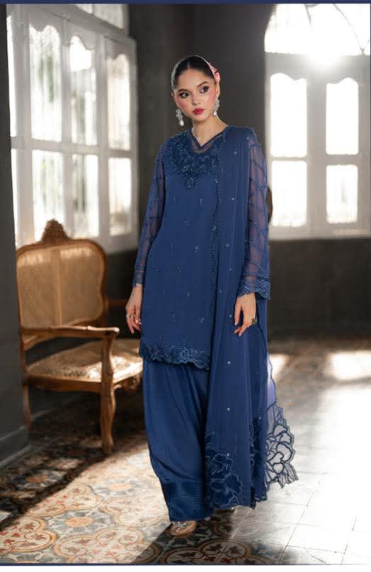 Elegant Blue Embroidered Dress