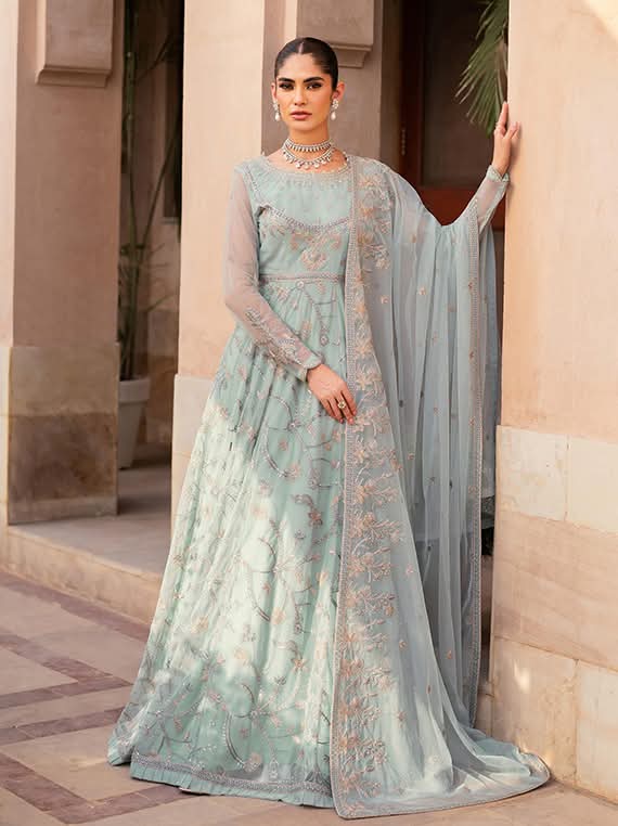 Elegant Embroidered Net Anarkali Dress