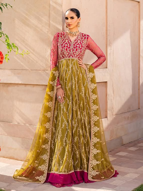 Elegant Embroidered Anarkali Gown