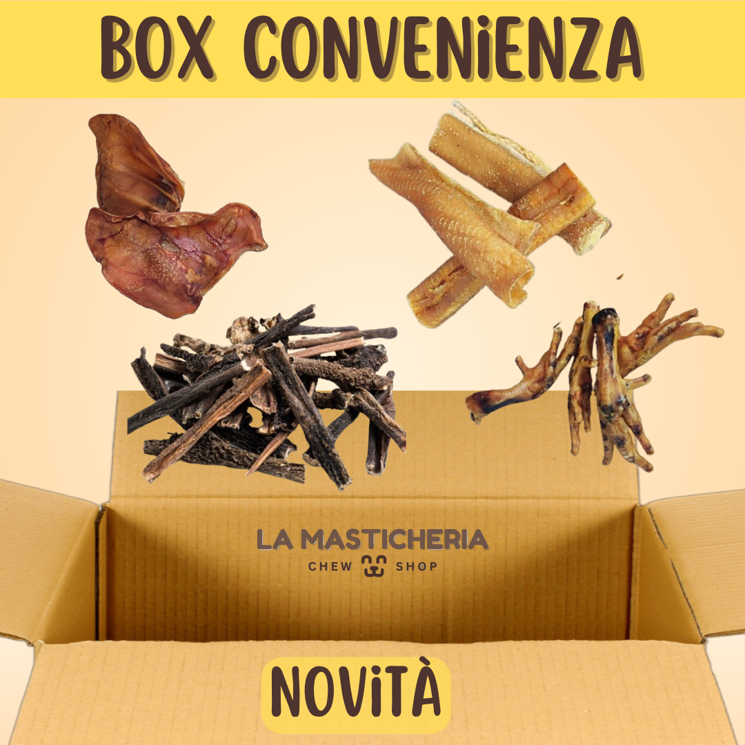 BOX NOVITA'