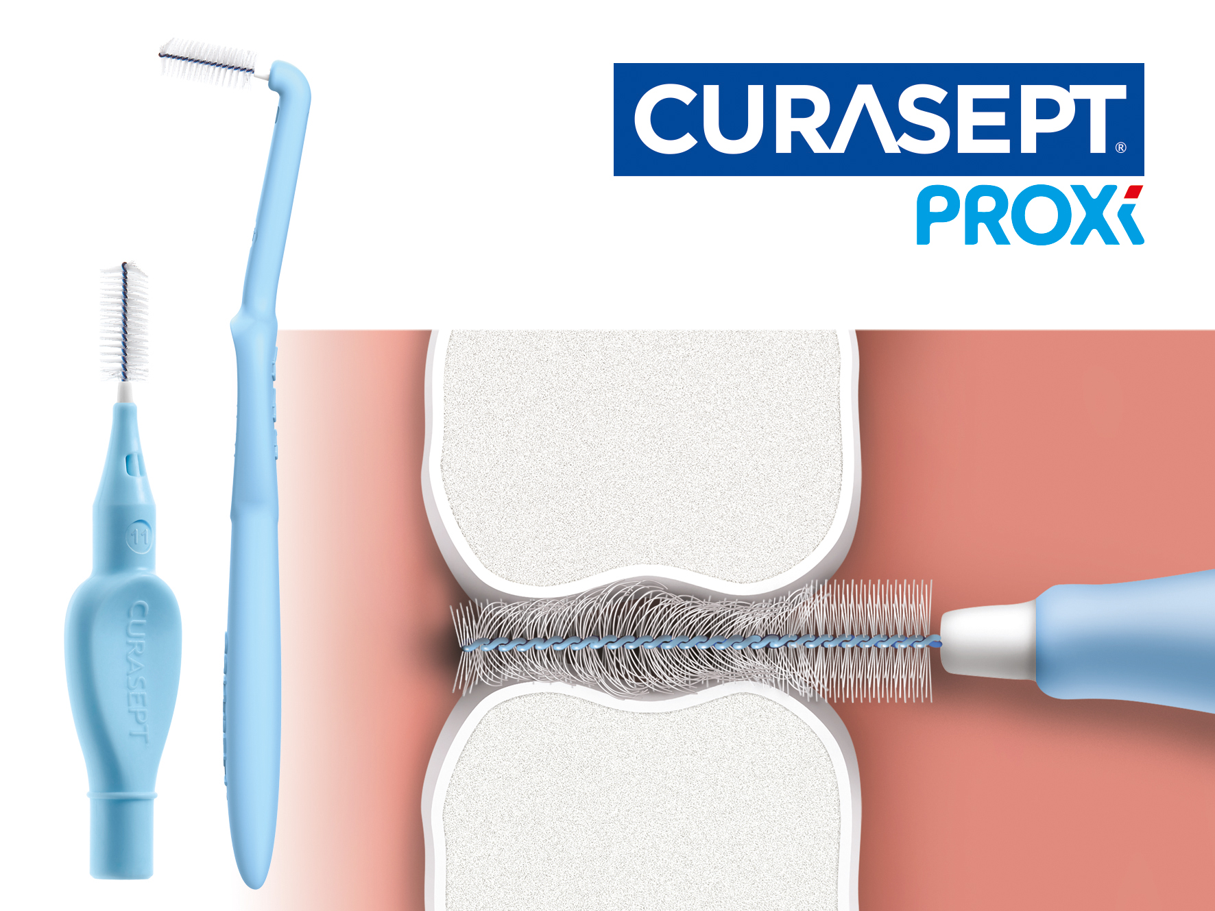 CURASEPT PROXI PREVENT P06, tarpdančių šepetėliai, 6 vnt.