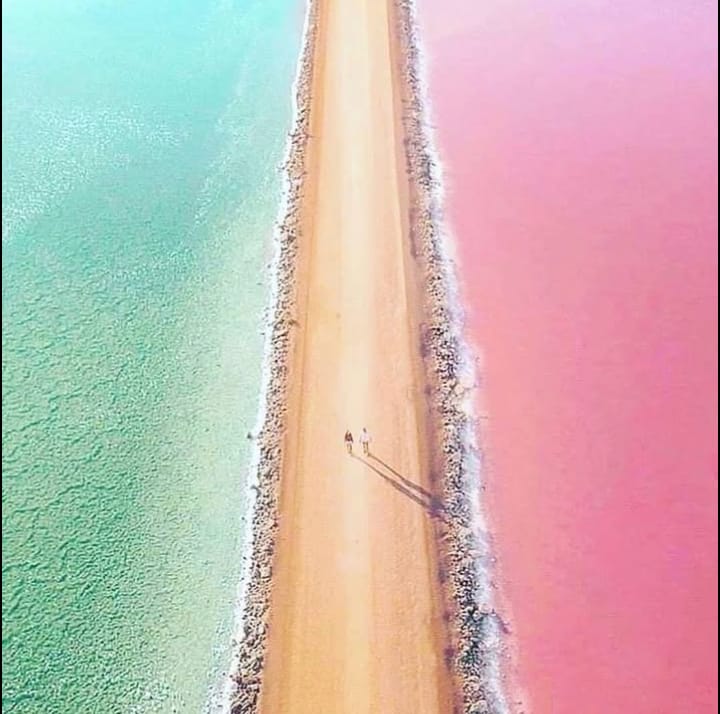 COLORADAS Y RIO LAGARTOS.